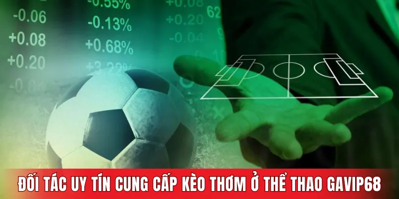 Đối tác uy tín cung cấp các kèo thơm tại Thể thao GAVIP68