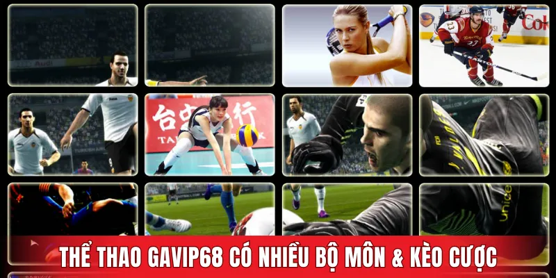 Thể thao GAVIP68 cung cấp nhiều bộ môn cùng hệ thống cá cược hấp dẫn
